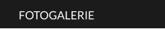 FOTOGALERIE